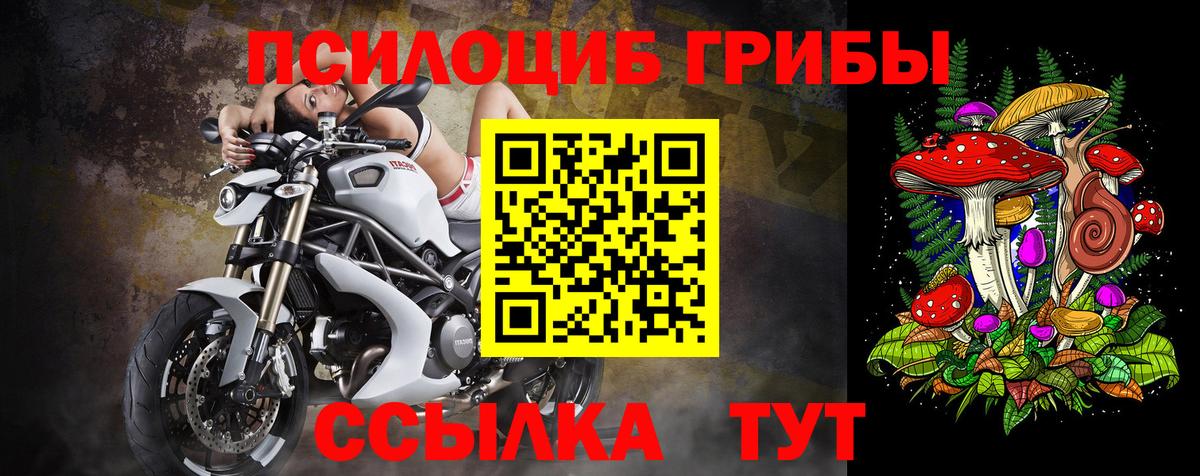Галлюциногенные грибы GOLDEN TEACHER Донецк